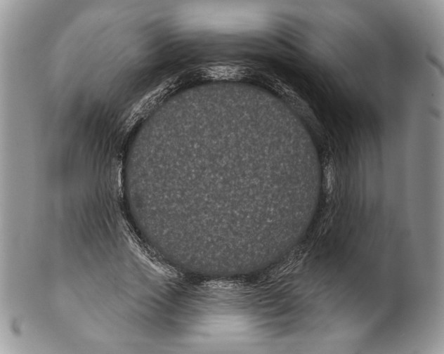 X0000099560733200806131233