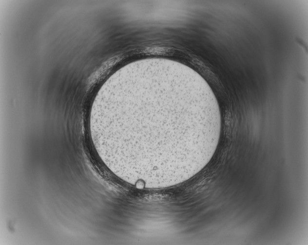 X0000099560734200806131233