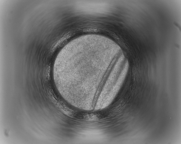 X0000099560735200806131233