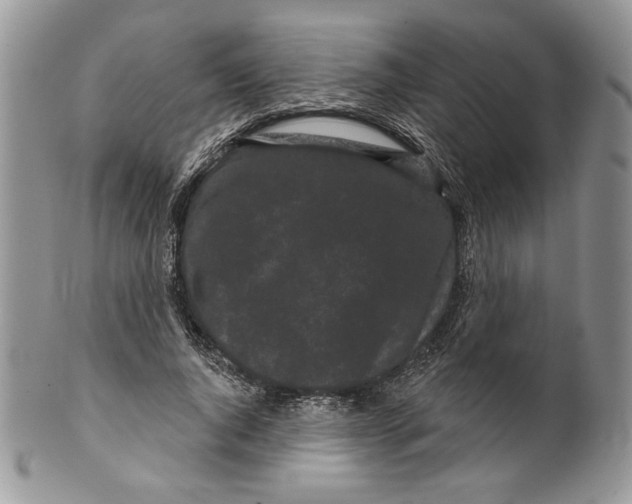 X0000099560736200806131233