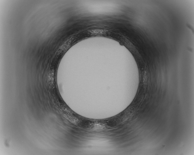 X0000099560737200806131233