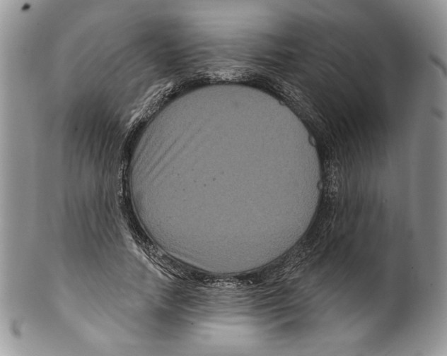 X0000099560738200806131233