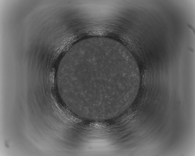 X0000099560739200806131233