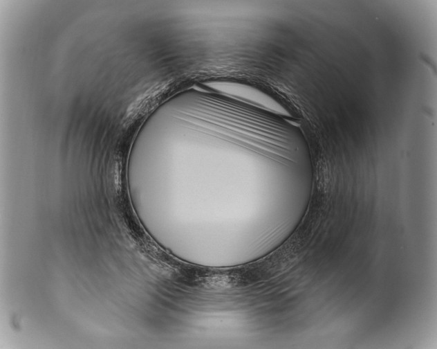 X0000099560740200806131233