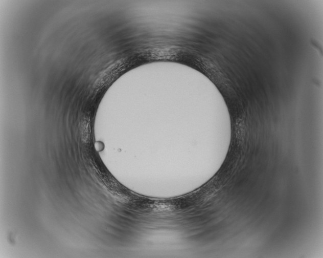 X0000099560741200806131233