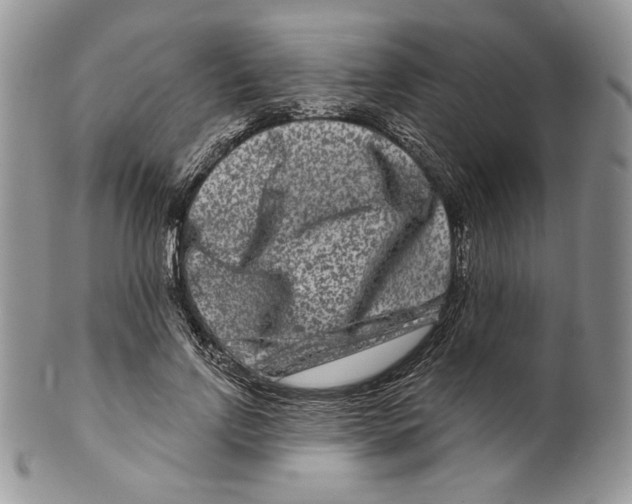 X0000099560742200806131233