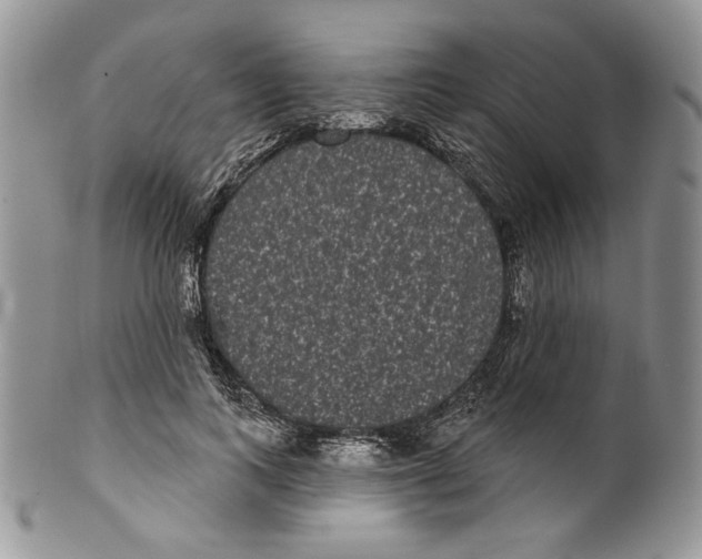 X0000099560743200806131233