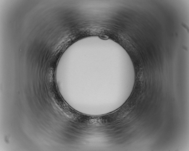 X0000099560744200806131233