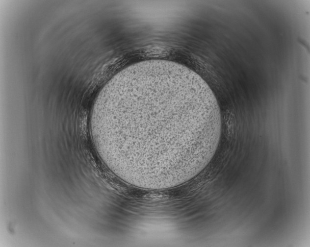 X0000099560745200806131233