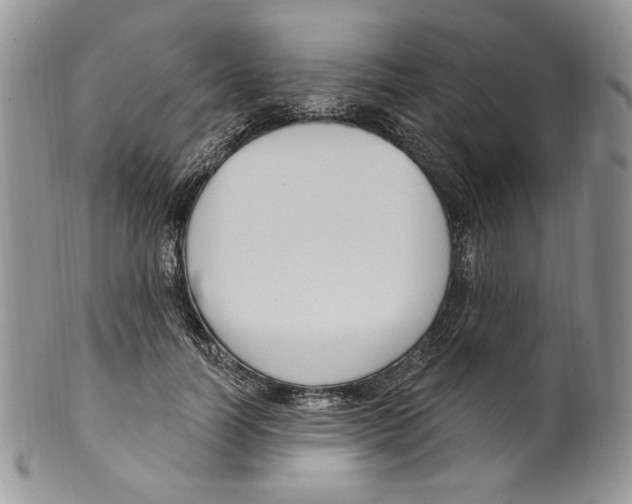 X0000099560746200806131234