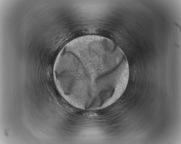 X0000099560747200806131234