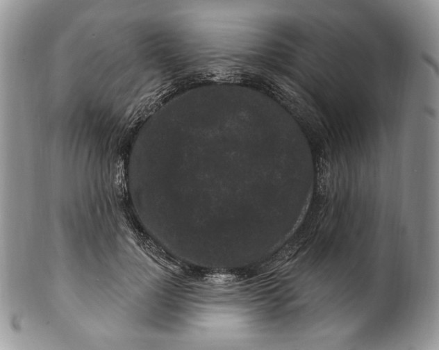 X0000099560748200806131234