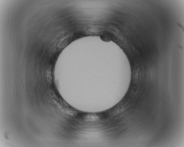 X0000099560749200806131234