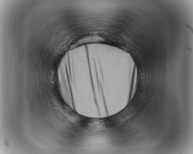 X0000099560750200806131234