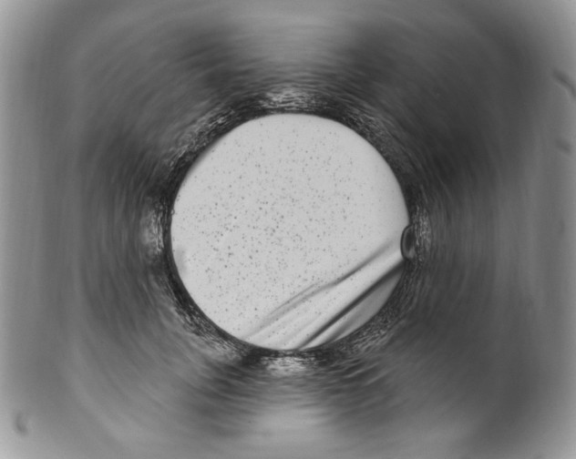 X0000099560751200806131234