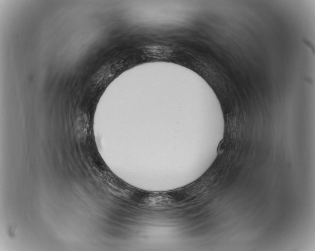 X0000099560752200806131234