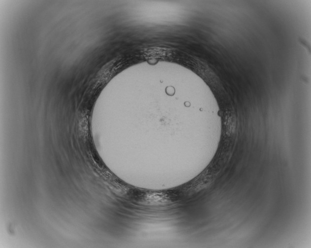 X0000099560753200806131234