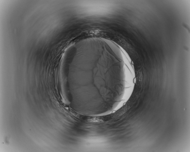 X0000099560754200806131234