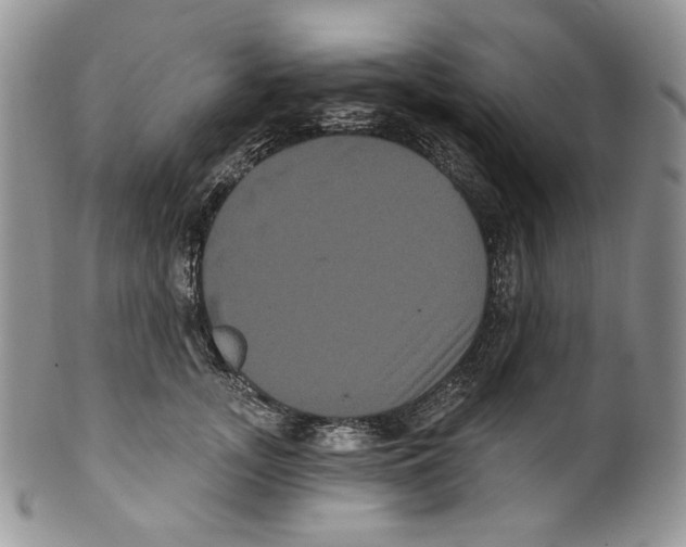 X0000099560755200806131234