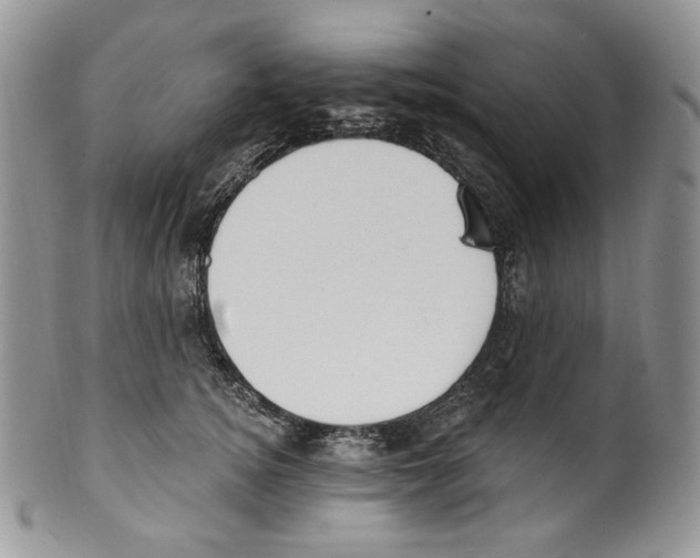 X0000099560756200806131234