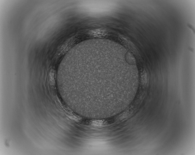 X0000099560757200806131234