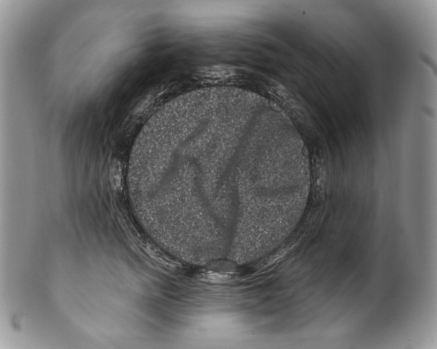 X0000099560758200806131234