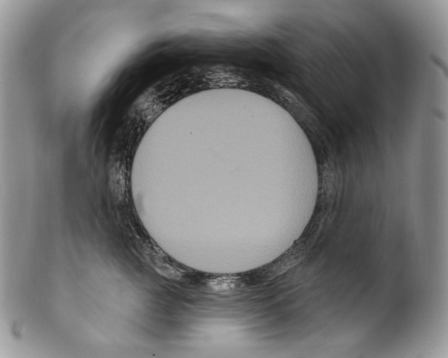 X0000099560761200806131234