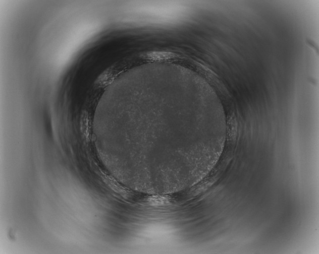 X0000099560762200806131234