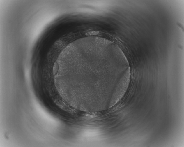 X0000099560763200806131234