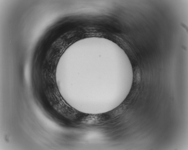 X0000099560764200806131234