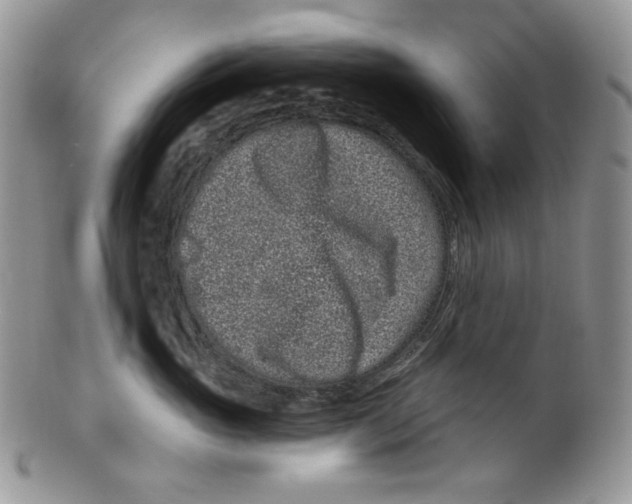 X0000099560765200806131234