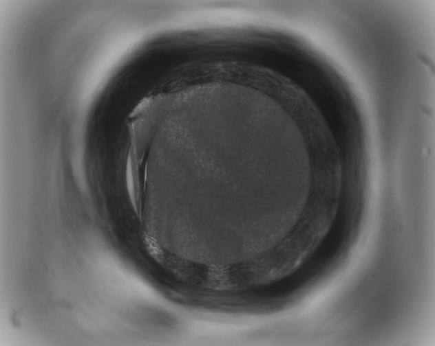 X0000099560766200806131234