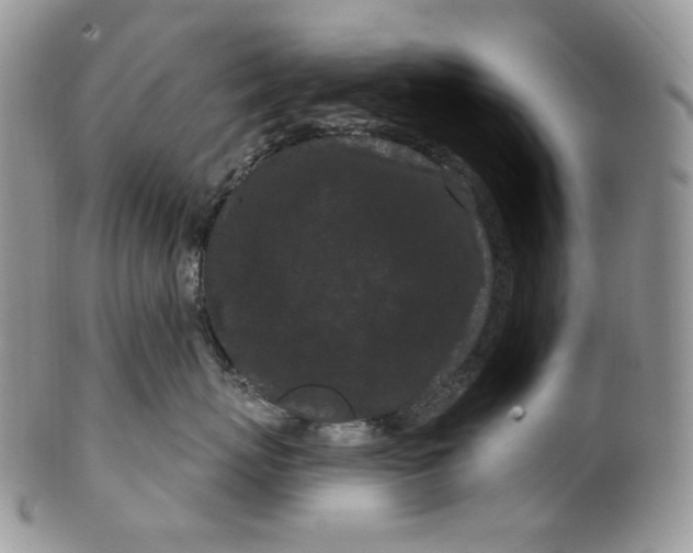 X0000099560767200806131234