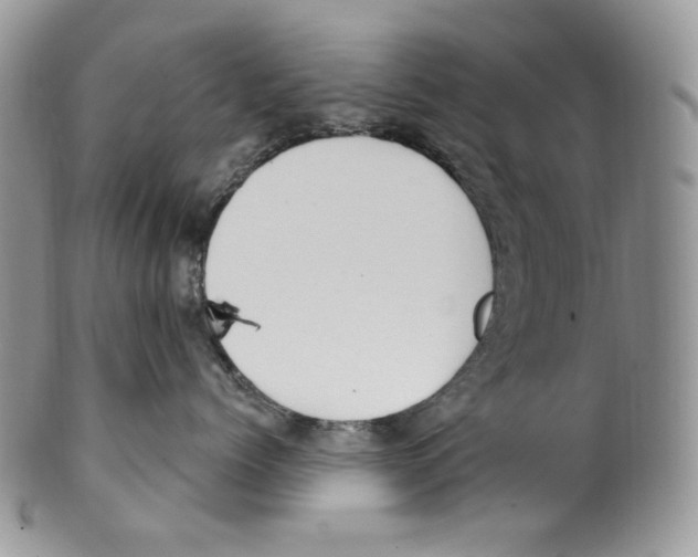 X0000099560768200806131234