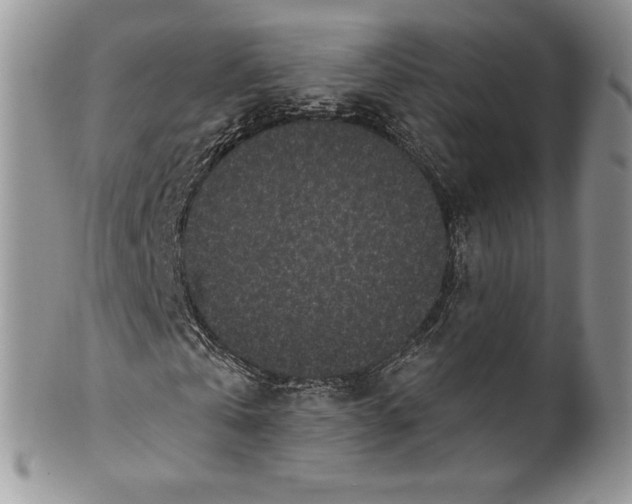 X0000099560769200806131233