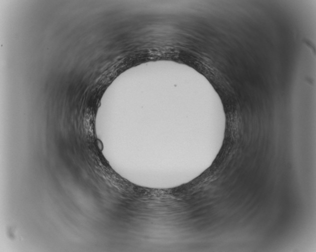 X0000099560770200806131233