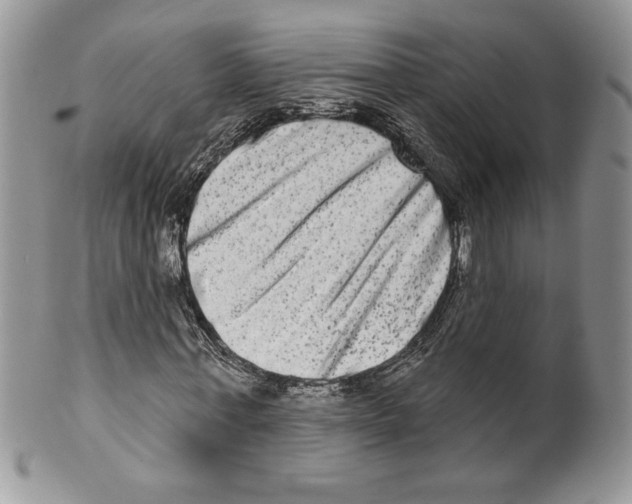 X0000099560771200806131233