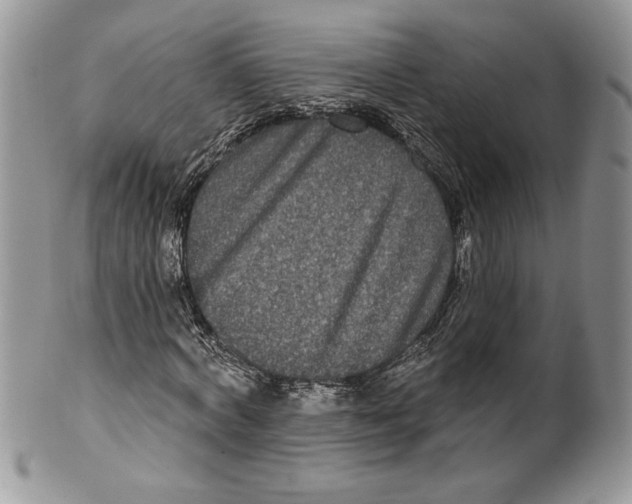 X0000099560772200806131233