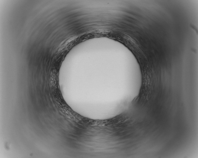 X0000099560773200806131233