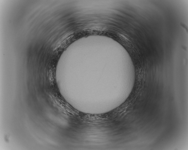 X0000099560774200806131233