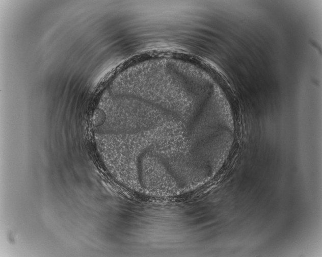 X0000099560775200806131233