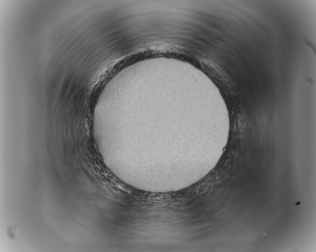 X0000099560776200806131233