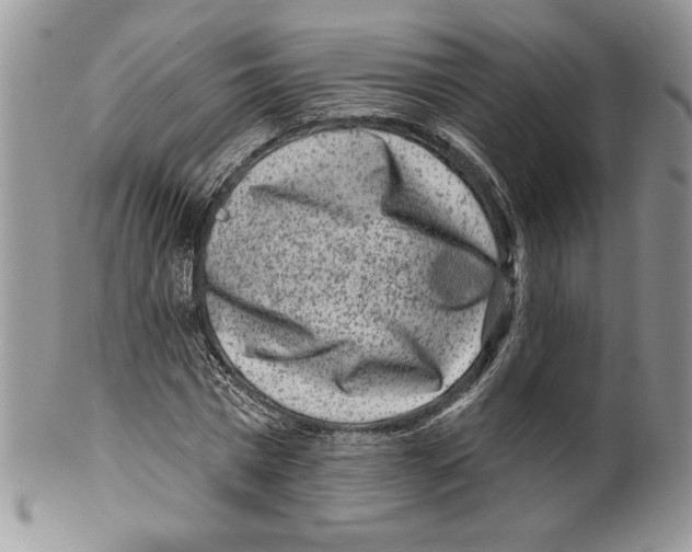 X0000099560777200806131233