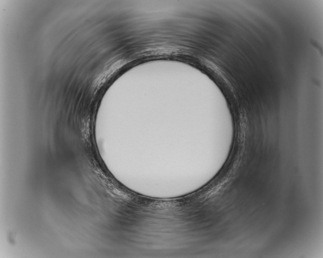 X0000099560778200806131233