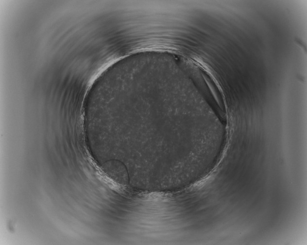 X0000099560779200806131233