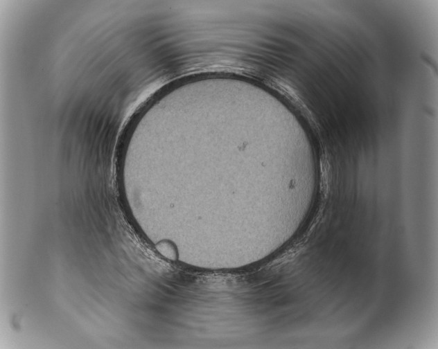 X0000099560780200806131233