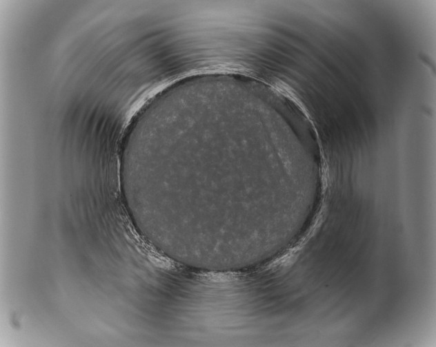 X0000099560781200806131233