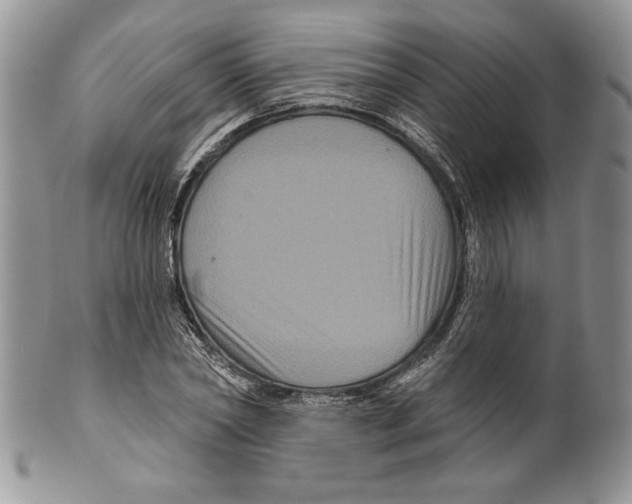 X0000099560782200806131233