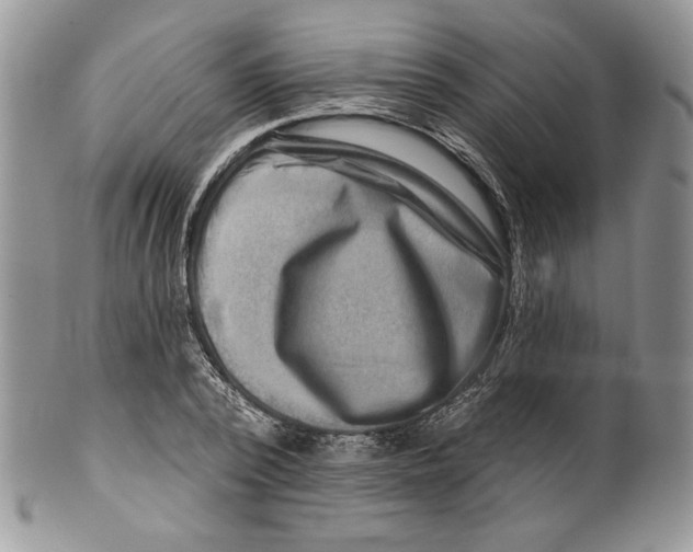 X0000099560784200806131233