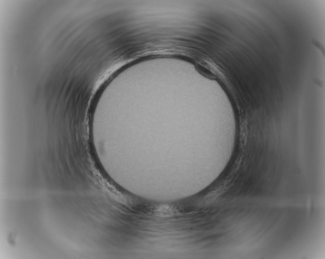 X0000099560787200806131233